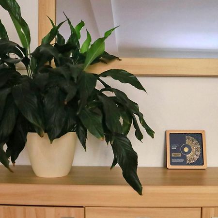 Apartmany Na Sumave Kasperske Hory Dış mekan fotoğraf