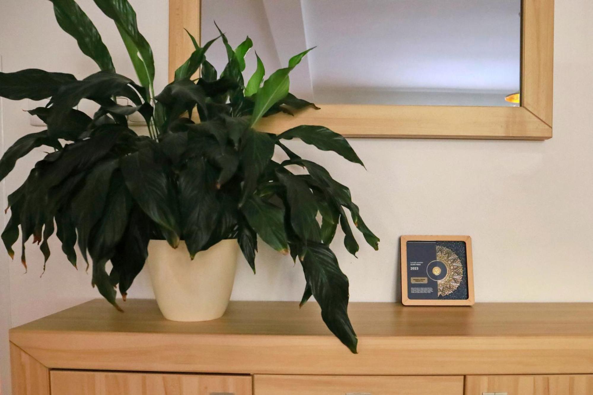 Apartmany Na Sumave Kasperske Hory Dış mekan fotoğraf